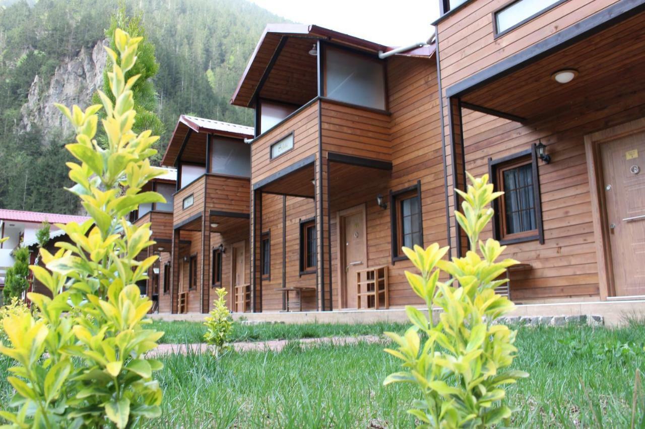 Uzungol Selale Otel Bungalow Exteriör bild