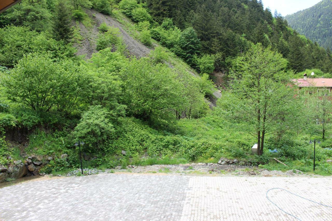 Uzungol Selale Otel Bungalow Exteriör bild