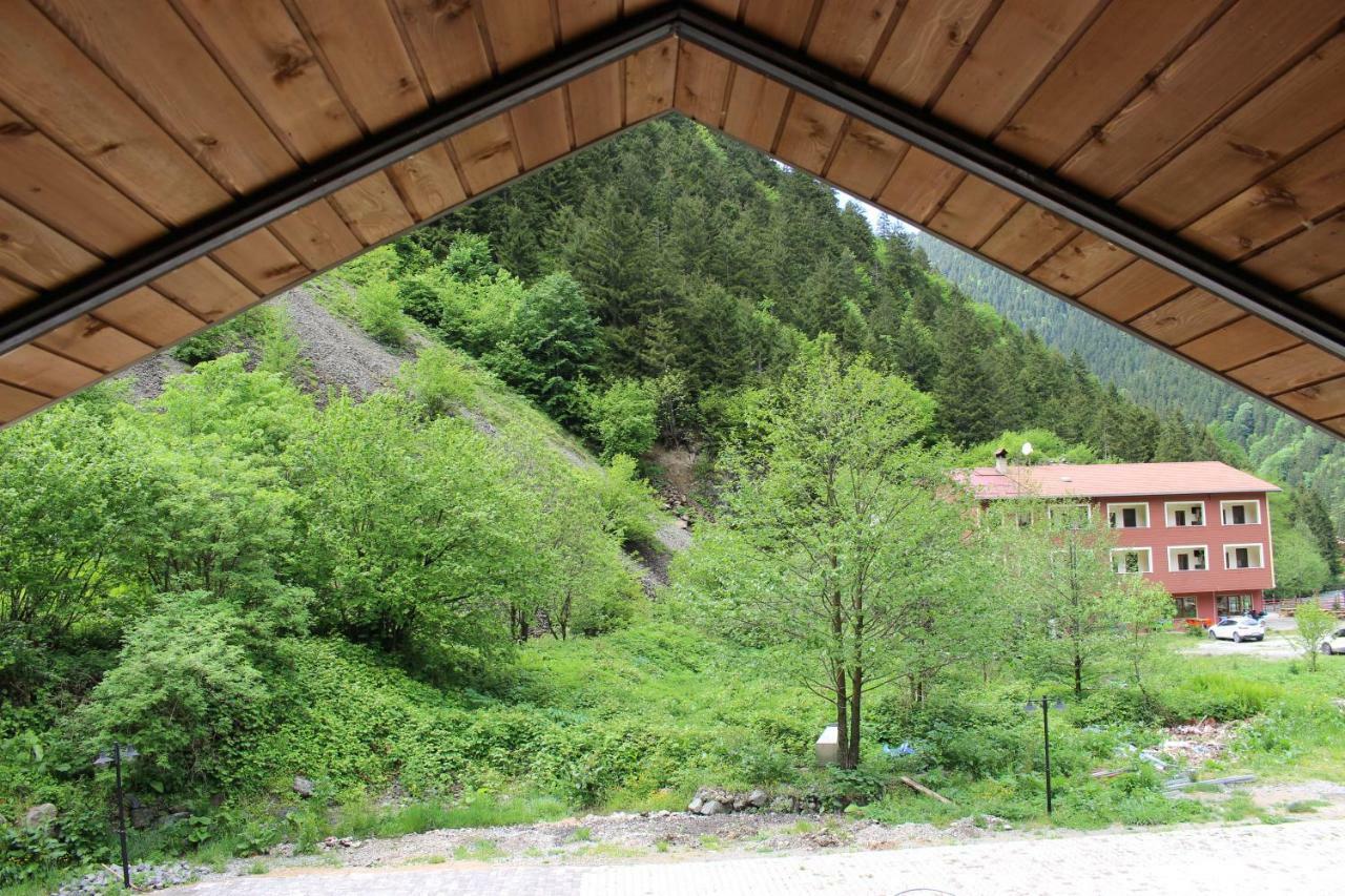 Uzungol Selale Otel Bungalow Exteriör bild